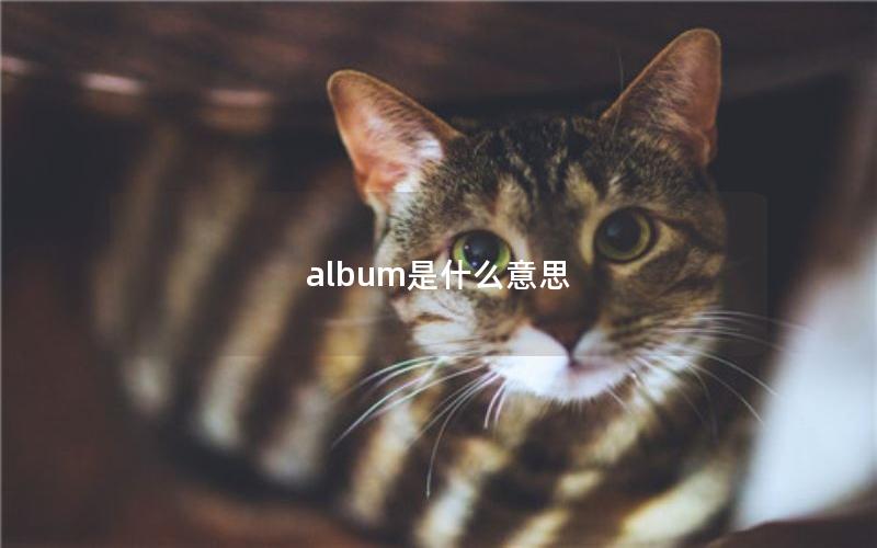 album是什么意思