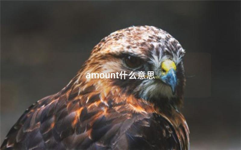 amount什么意思