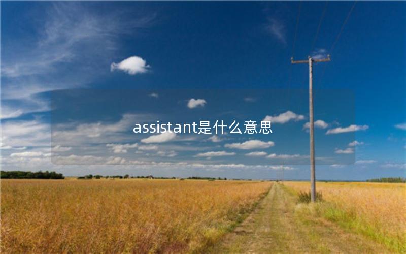 assistant是什么意思