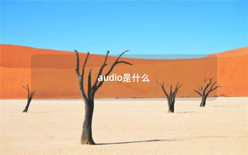 audio是什么