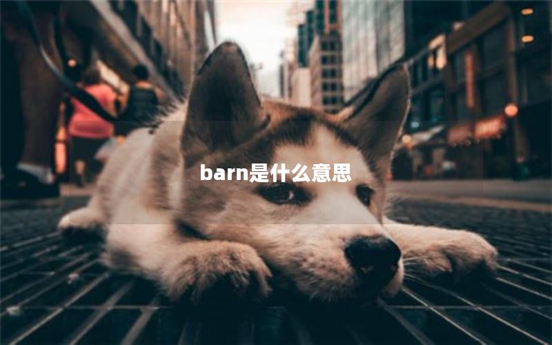 barn是什么意思