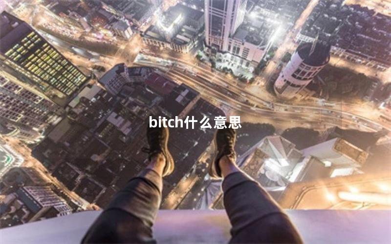 bitch什么意思