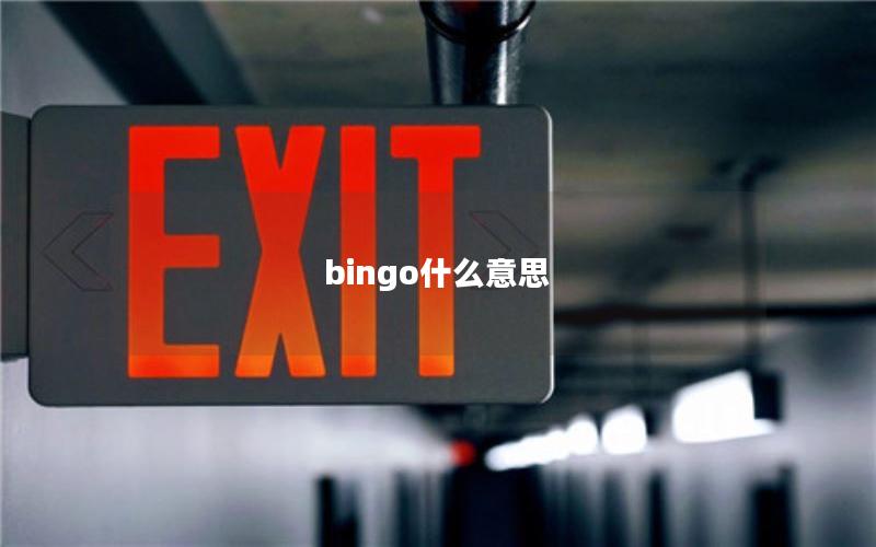 bingo什么意思