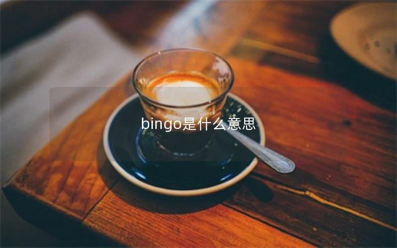 bingo是什么意思