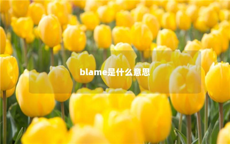 blame是什么意思