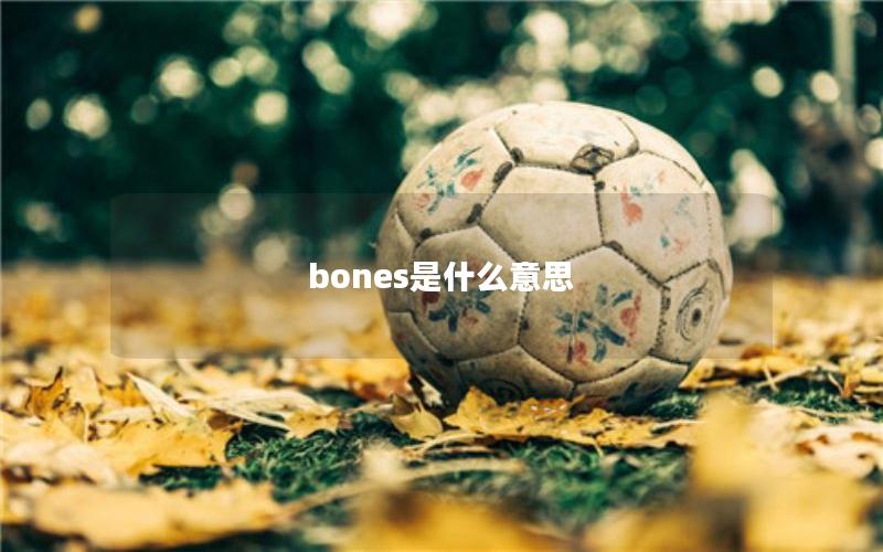 bones是什么意思