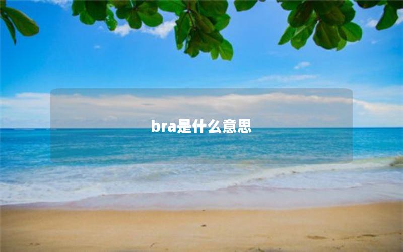 bra是什么意思