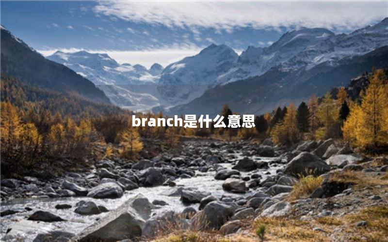 branch是什么意思