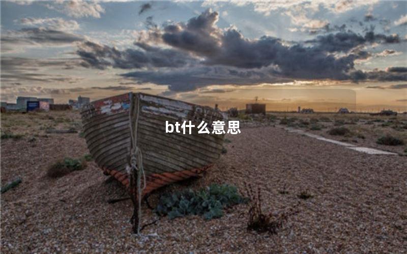 bt什么意思