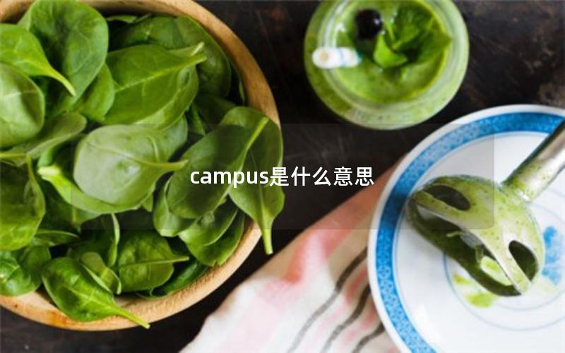 campus是什么意思