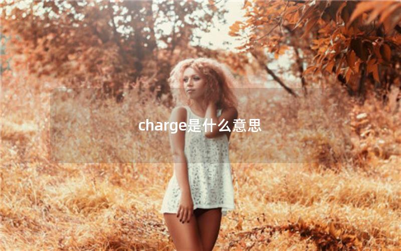 charge是什么意思