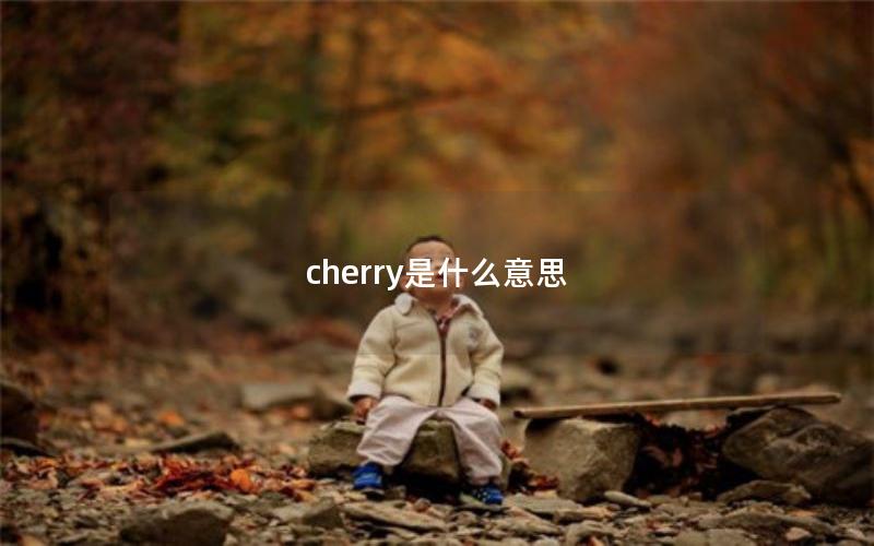 cherry是什么意思