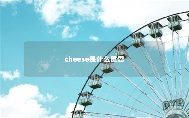 cheese是什么意思