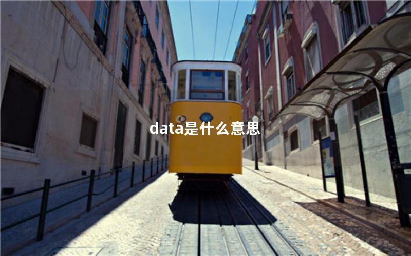 data是什么意思