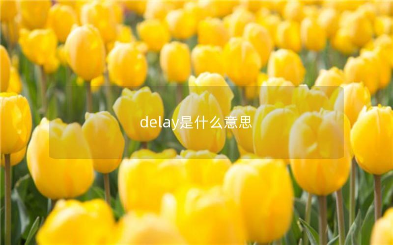 delay是什么意思