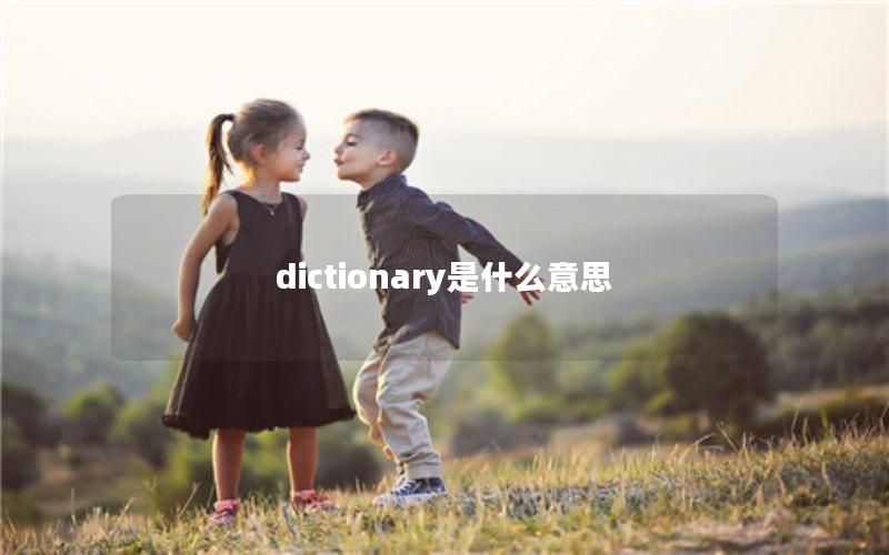 dictionary是什么意思