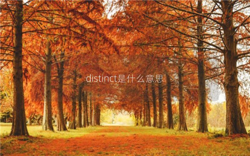 distinct是什么意思