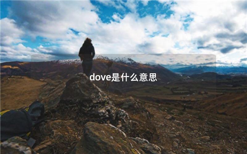 dove是什么意思