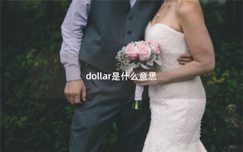 dollar是什么意思