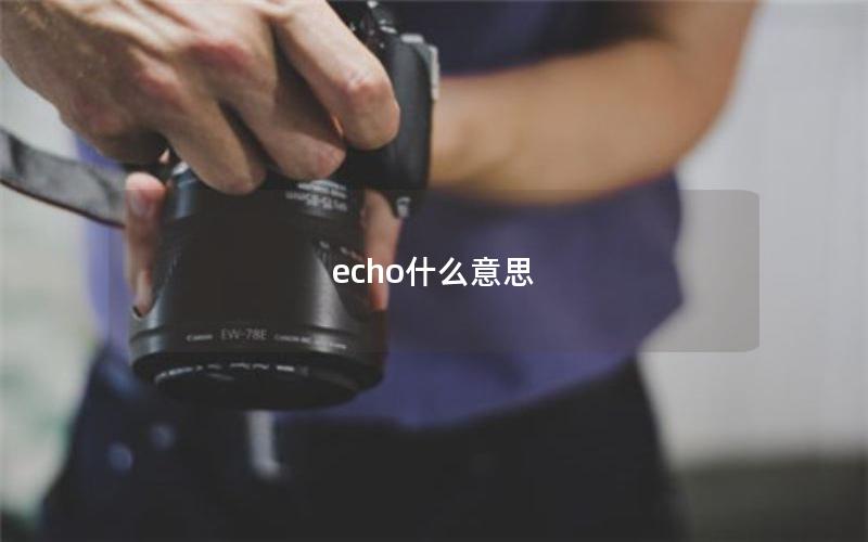 echo什么意思