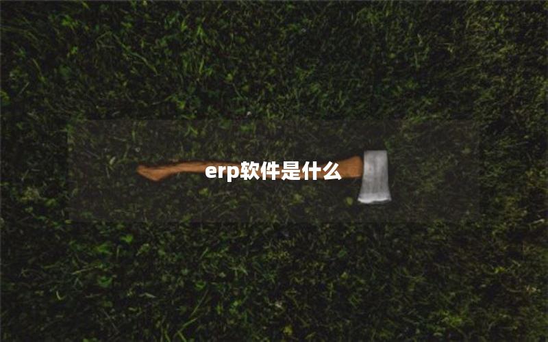 erp软件是什么