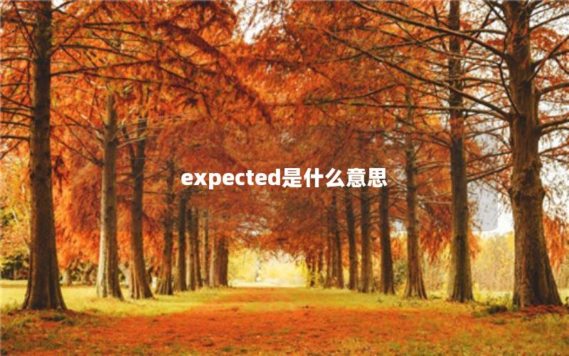 expected是什么意思