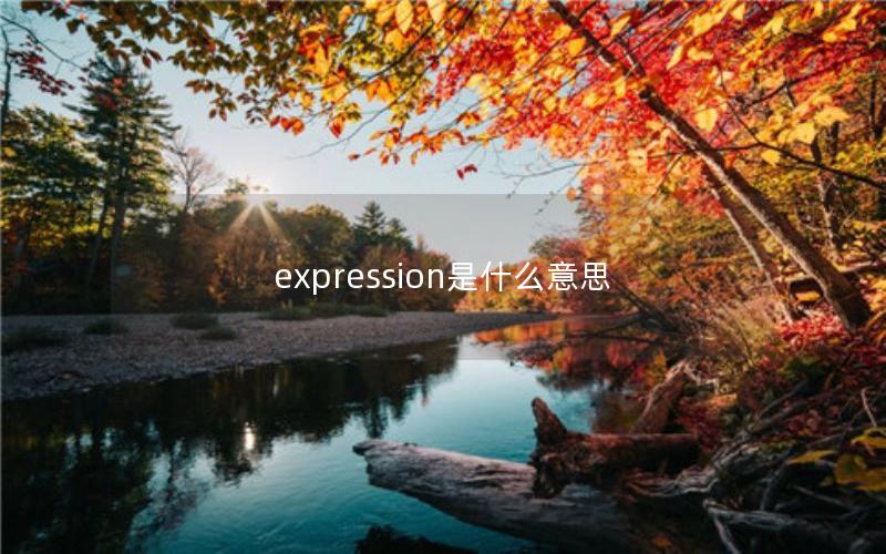 expression是什么意思