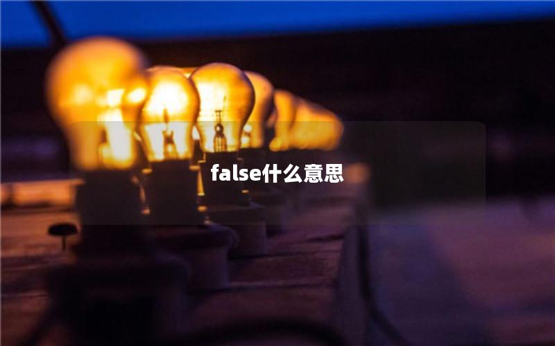 false什么意思