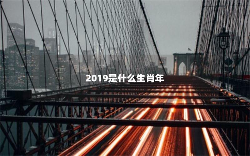 2019是什么生肖年