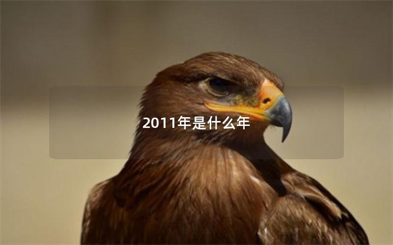 2011年是什么年