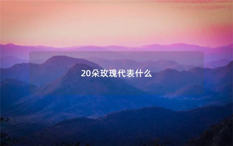 20朵玫瑰代表什么