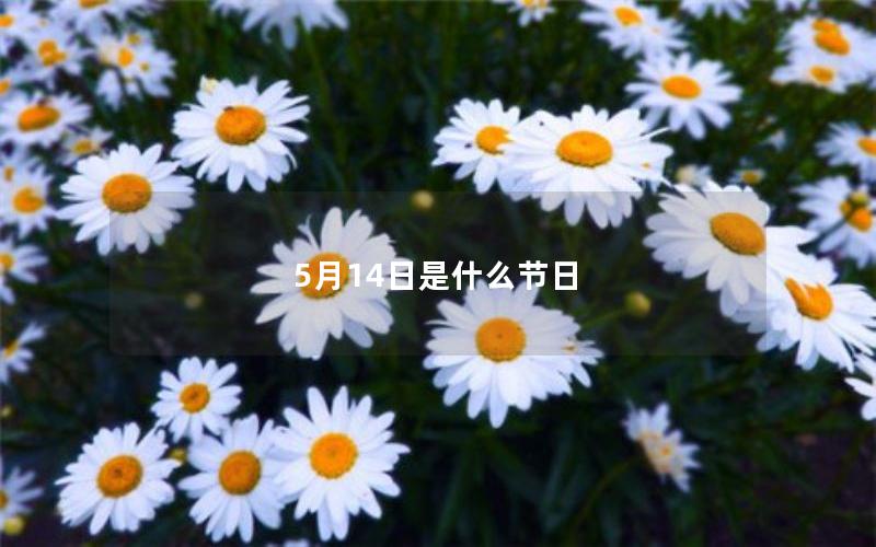 5月14日是什么节日