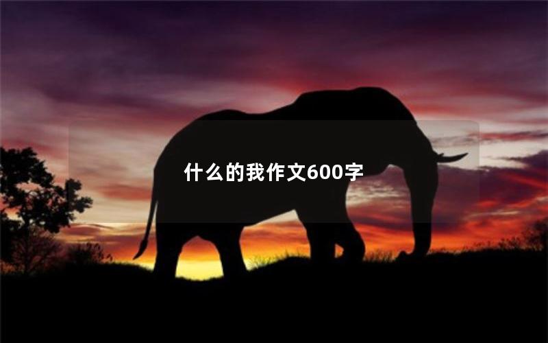 什么的我作文600字