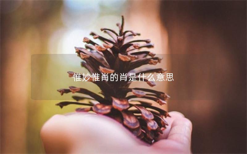 惟妙惟肖的肖是什么意思