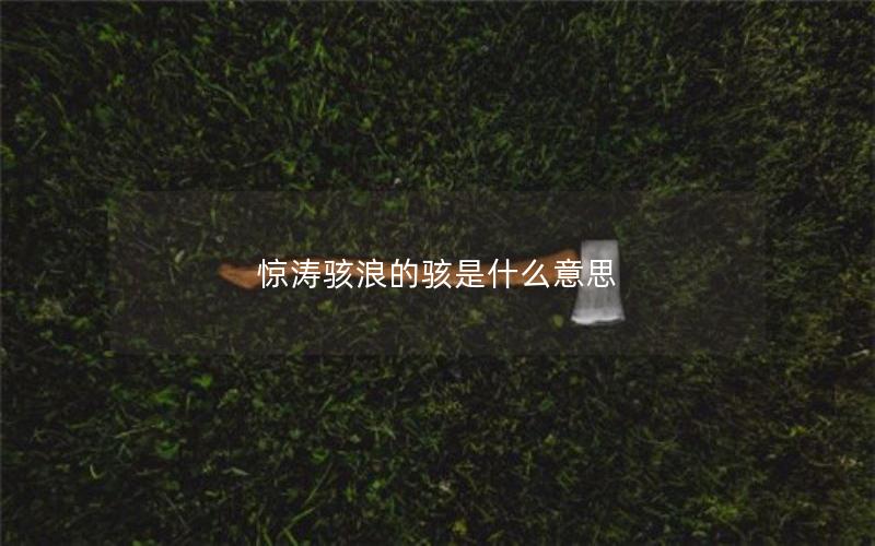 惊涛骇浪的骇是什么意思