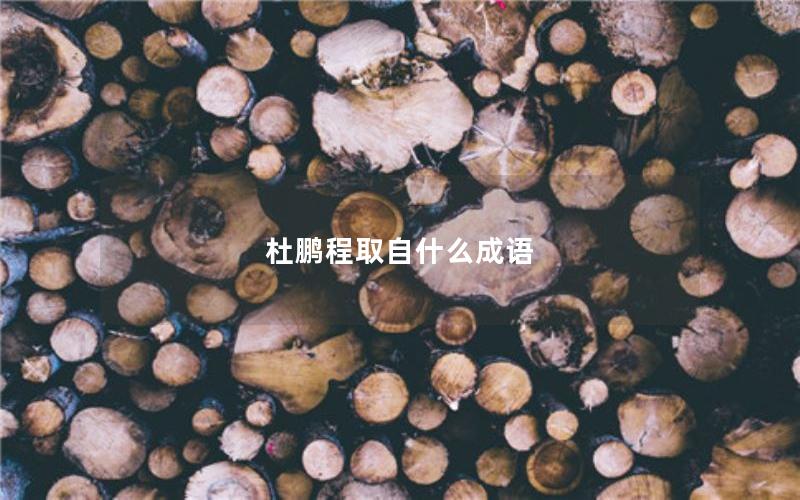 杜鹏程取自什么成语