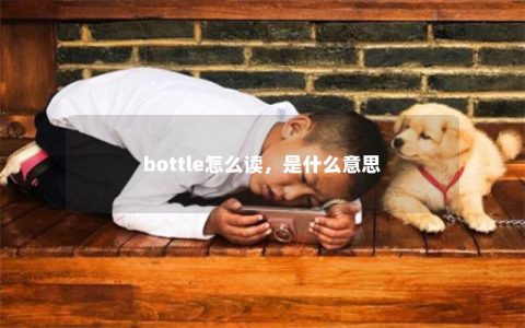 bottle怎么读，是什么意思