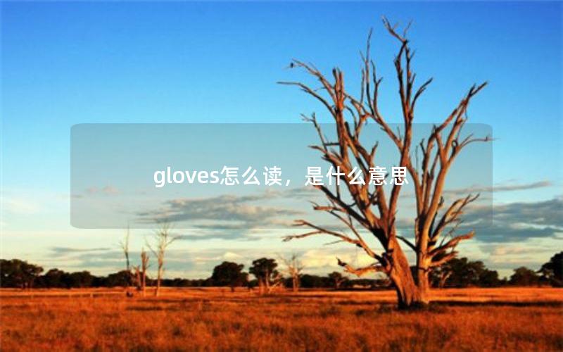 gloves怎么读，是什么意思