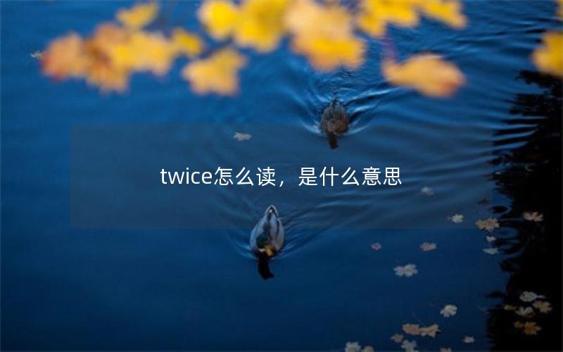 twice怎么读，是什么意思