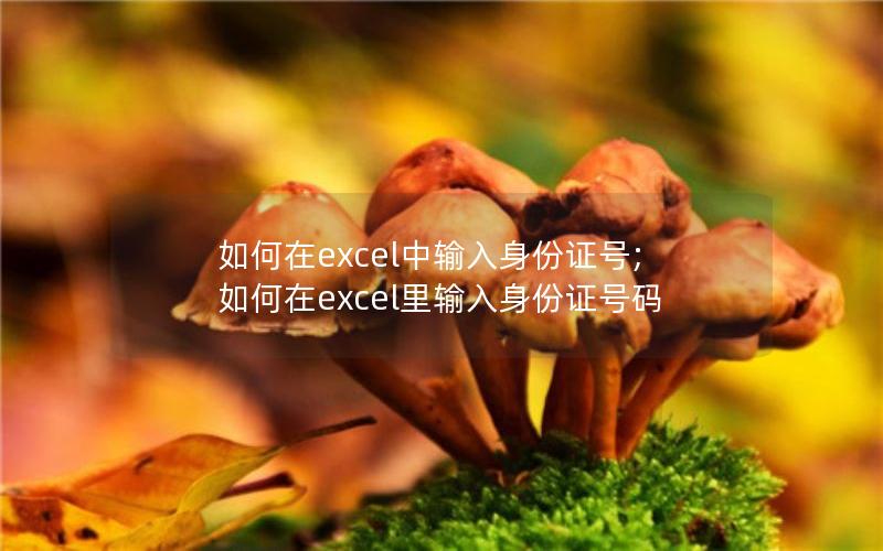 如何在excel中输入身份证号;如何在excel里输入身份证号码