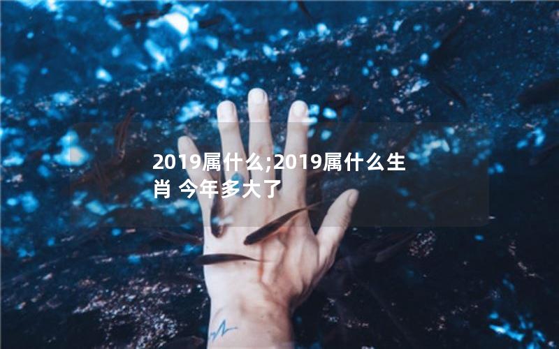 2019属什么;2019属什么生肖 今年多大了