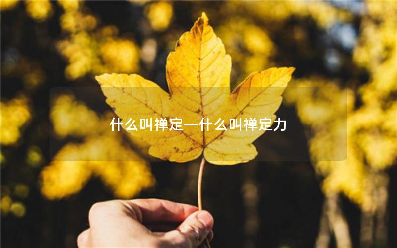 什么叫禅定—什么叫禅定力