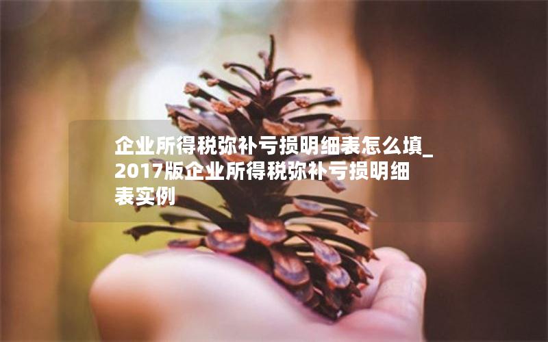 企业所得税弥补亏损明细表怎么填_2017版企业所得税弥补亏损明细表实例