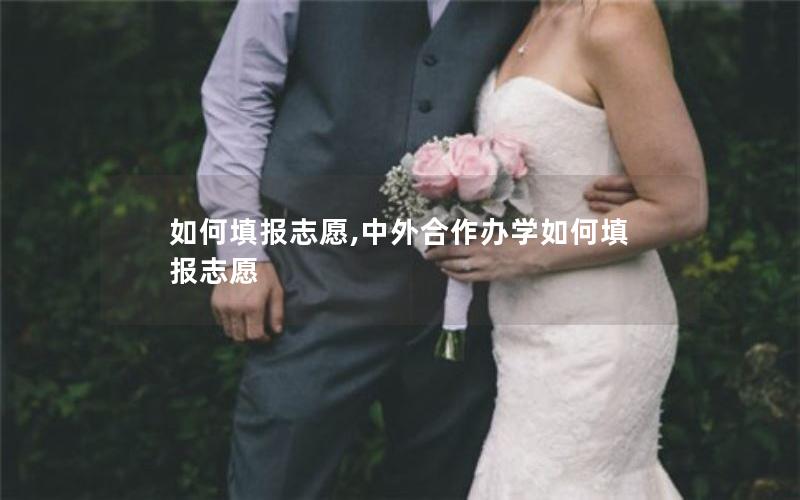 如何填报志愿,中外合作办学如何填报志愿