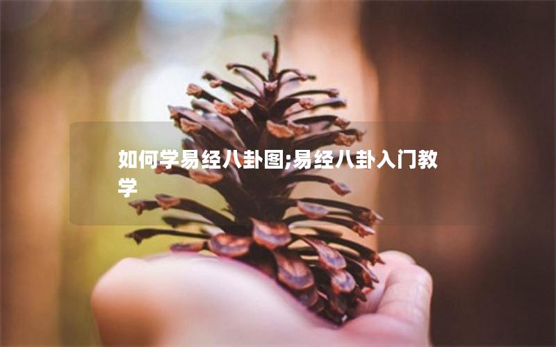 如何学易经八卦图;易经八卦入门教学