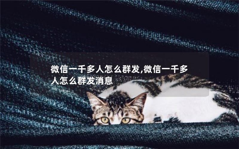 微信一千多人怎么群发,微信一千多人怎么群发消息