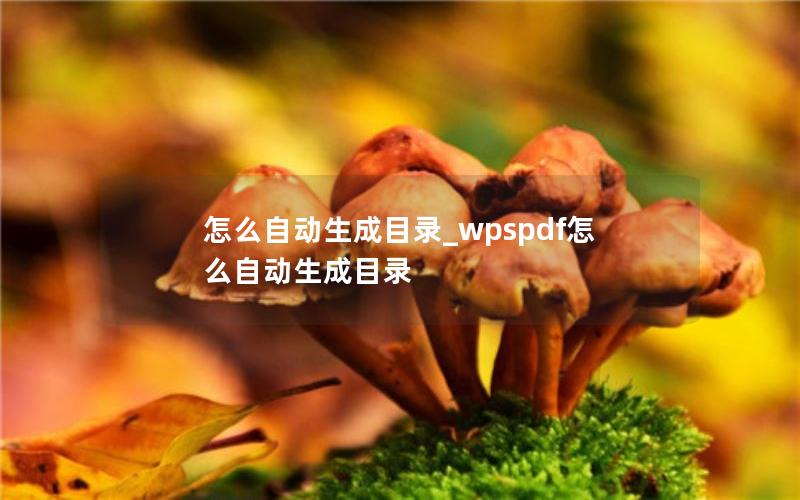 怎么自动生成目录_wpspdf怎么自动生成目录