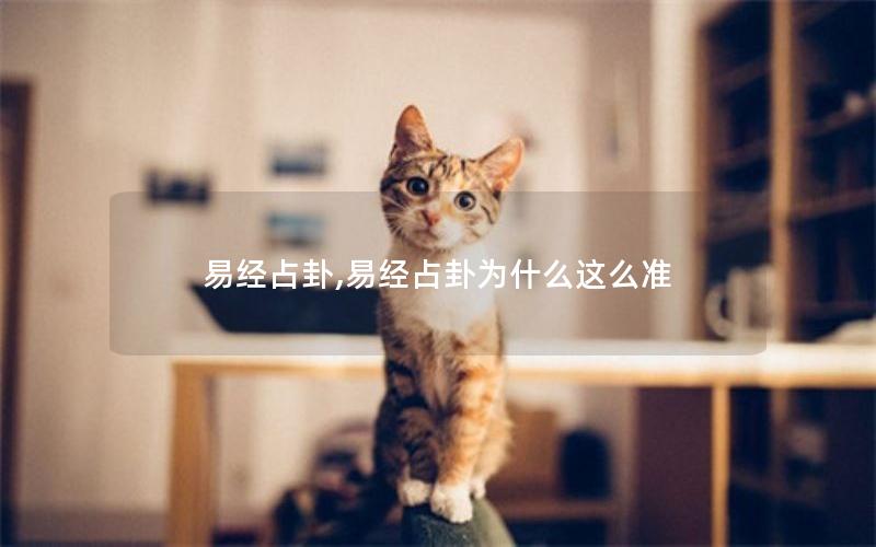 易经占卦,易经占卦为什么这么准