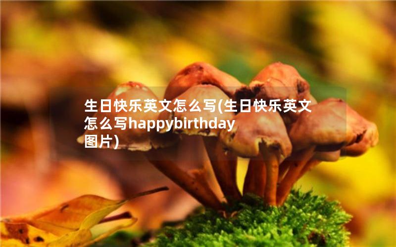 生日快乐英文怎么写(生日快乐英文怎么写happybirthday图片)