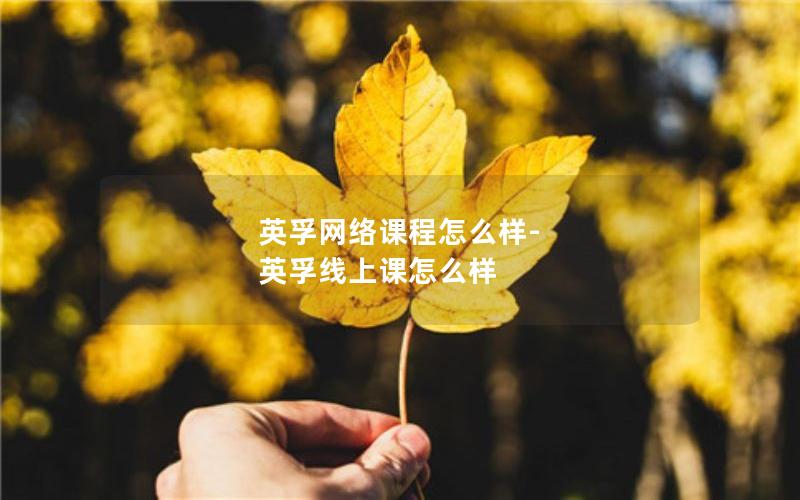 英孚网络课程怎么样-英孚线上课怎么样